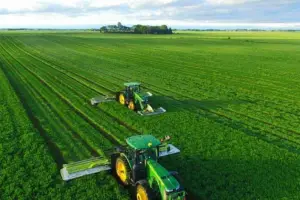 Agriculture Land