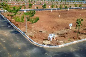 Commercial Plot