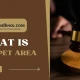 What is Carpet area