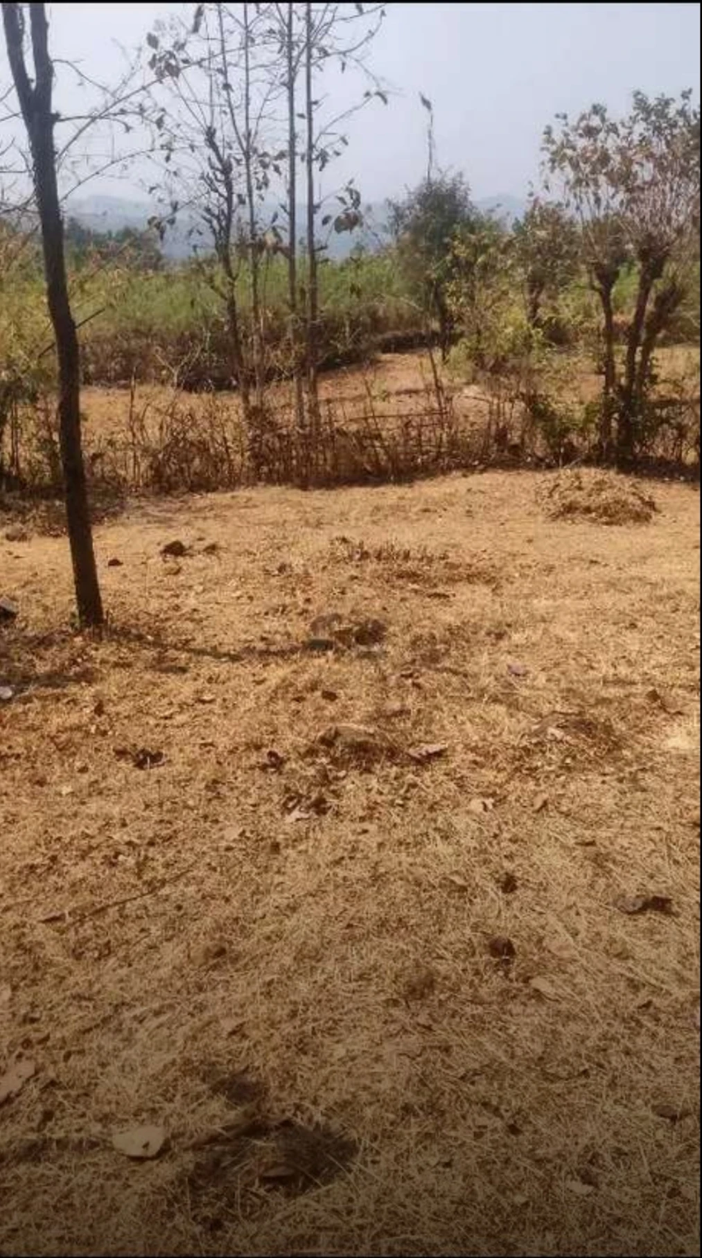 Property Image — Agriculture Land for Sale in Ganeshgule, Maharashtra