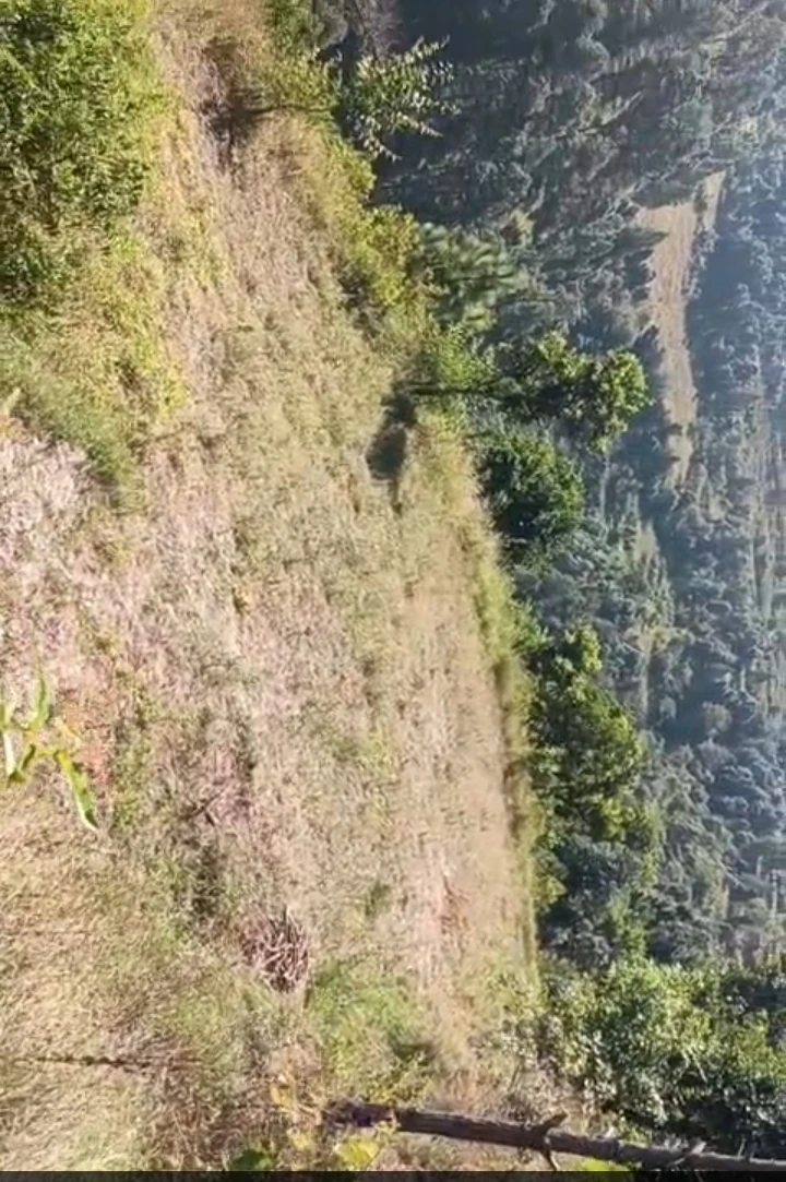 Property Image — Agriculture Land for Sale in Purola