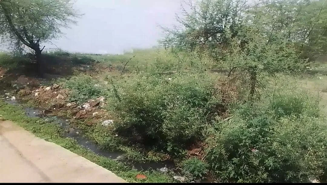 Property Image — Plot for Sale in Sonaura