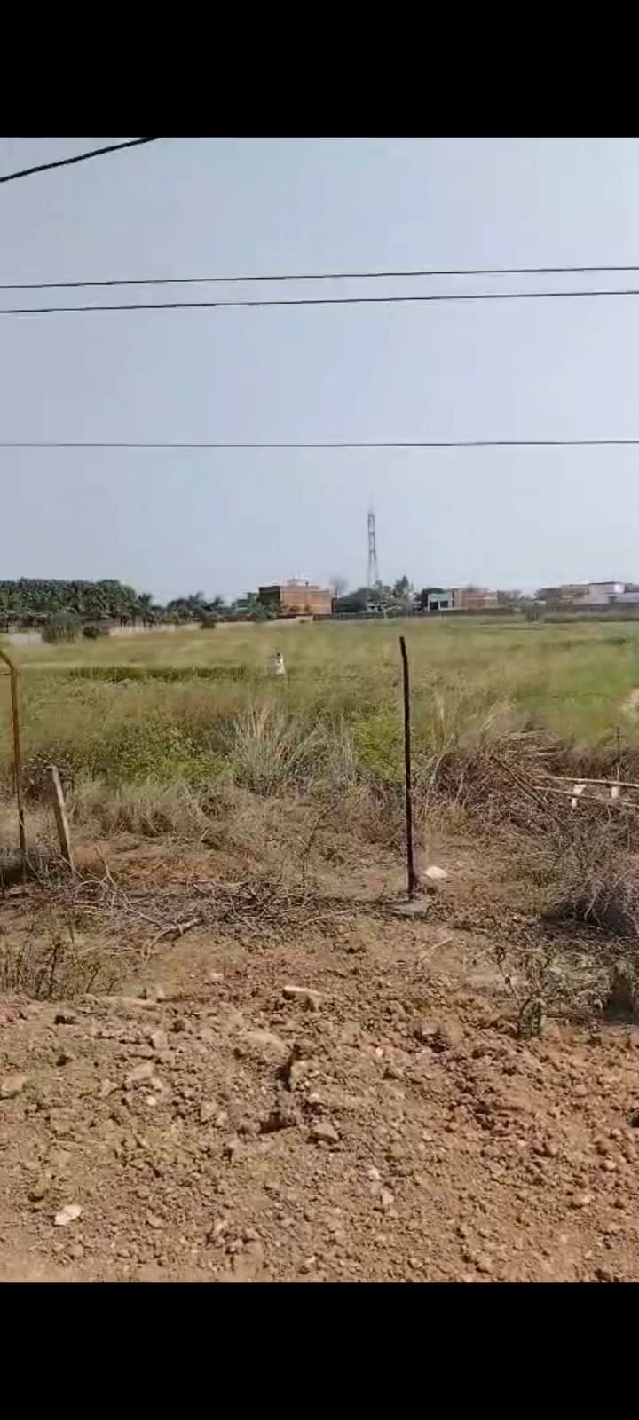 Commercial Plot in Sonaura, Rewa, Madhya Pradesh