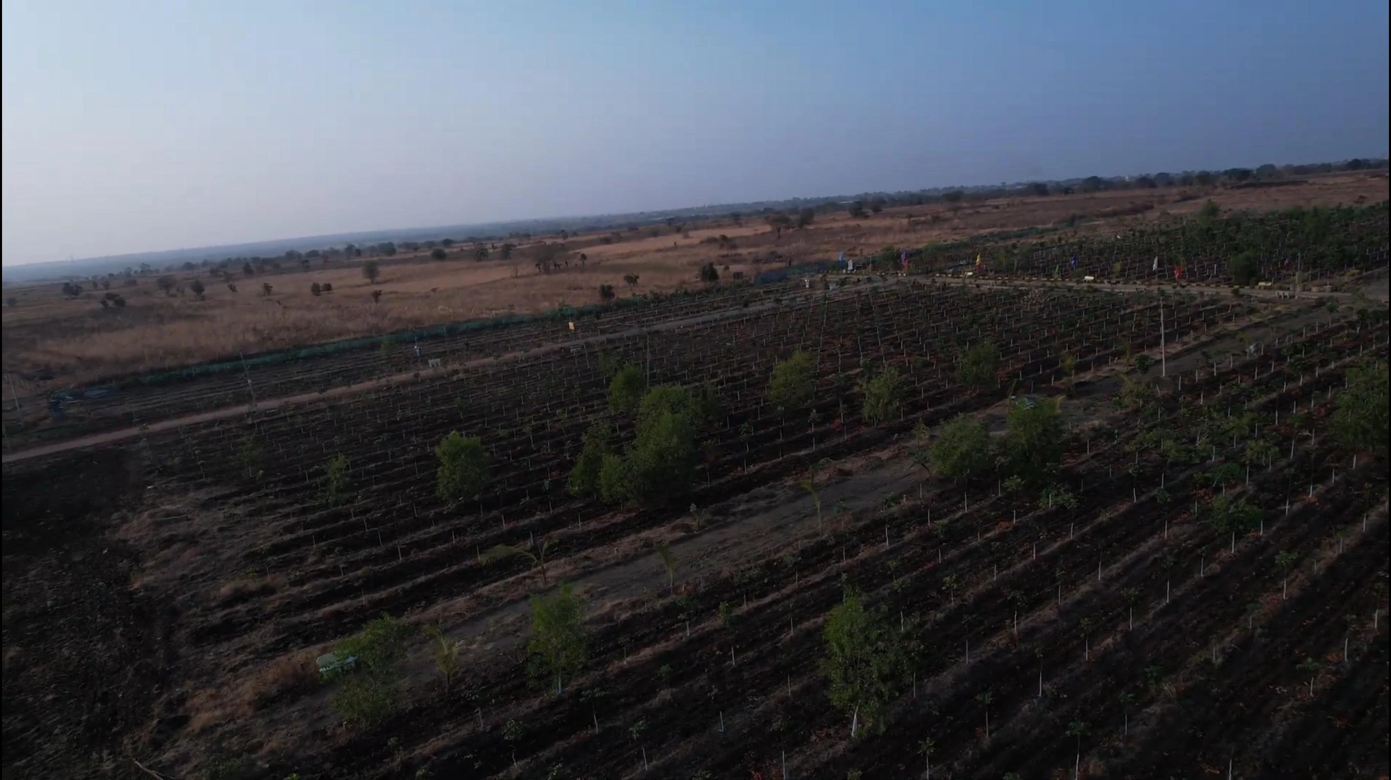 Description — Agriculture Land for Sale in Narayankhed (CT), Telangana