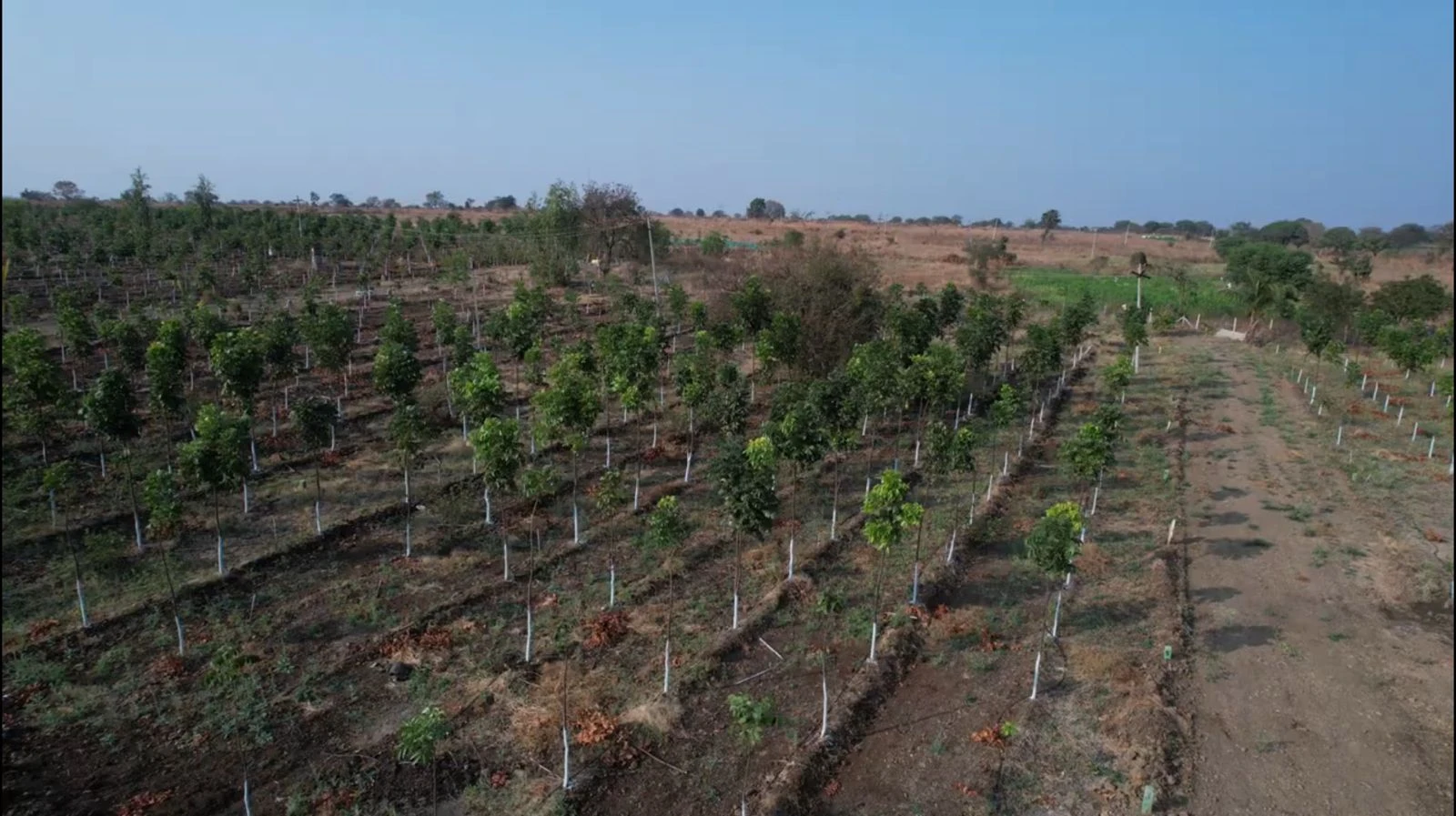 Agriculture Land for Sale in narayankhed, Hyderabad