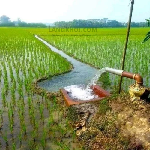 Agriculture Land