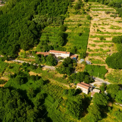 Residential Plot / Land