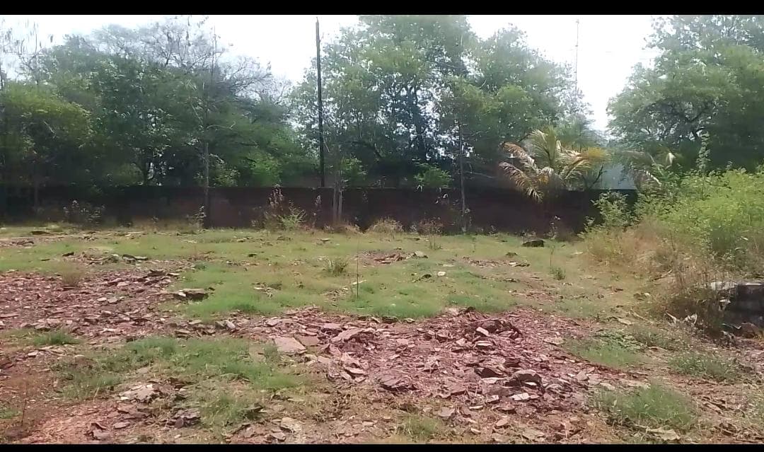 Commercial Plot in Rewa, Madhya Pradesh