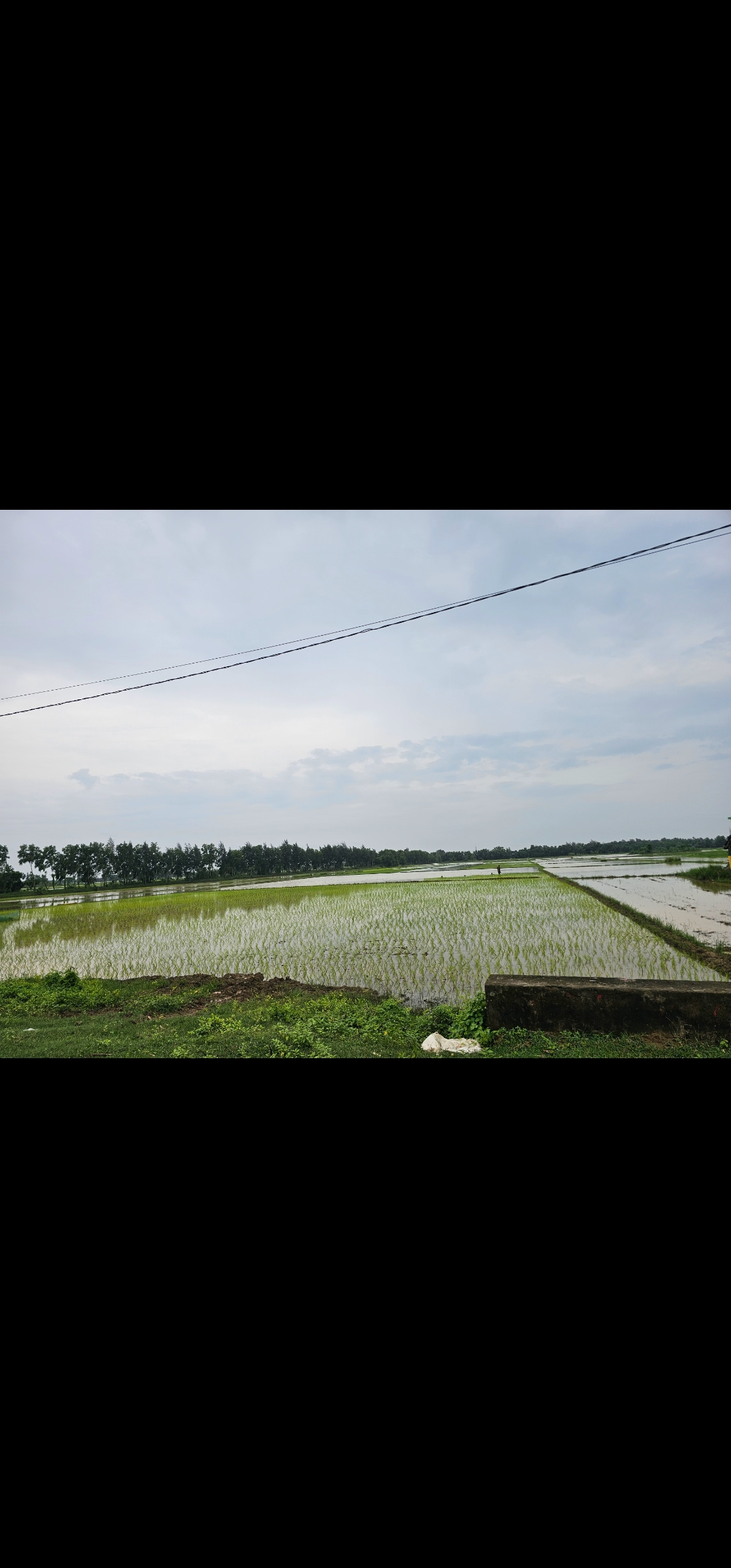 Agriculture Land in Narendrapur, Odisha