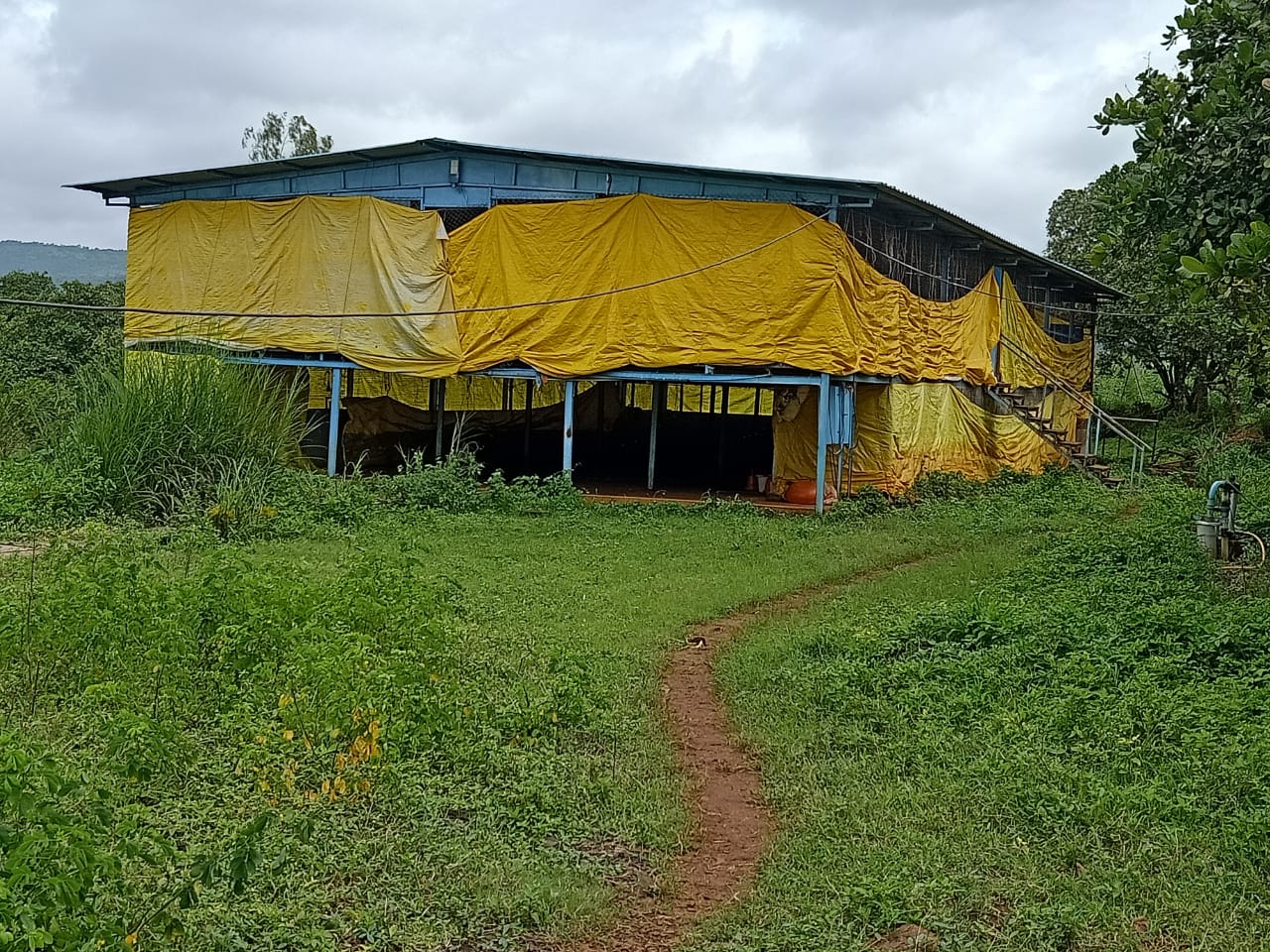 Agriculture Land for Sale in Adkur, Maharashtra