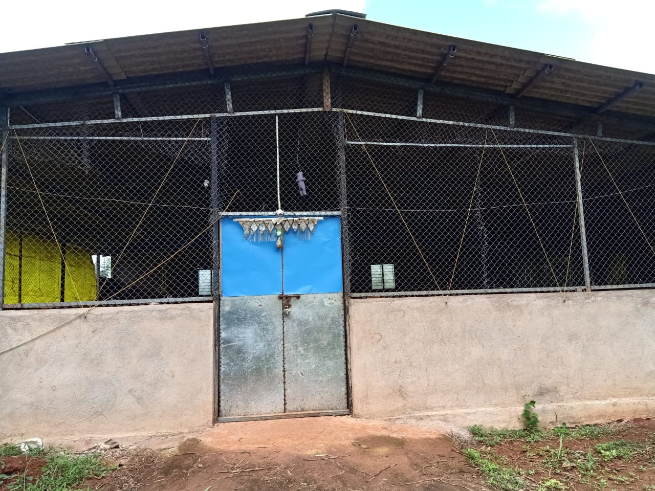 Property Image — Agriculture Land for Sale in Adkur, Maharashtra