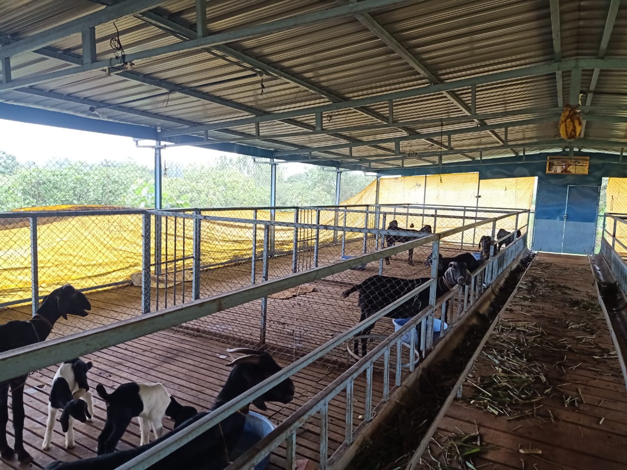 Property Image — Agriculture Land for Sale in Adkur, Maharashtra