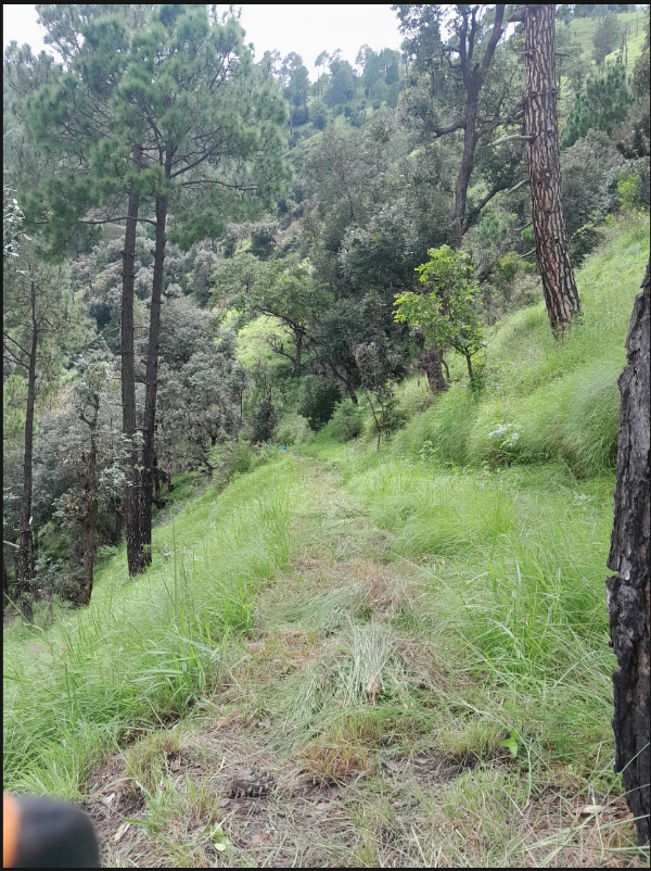 Site View — Warehouse / Godown for Sale in Shoghi Bypass