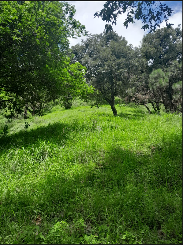 Site View — Warehouse / Godown for Sale in Shoghi Bypass
