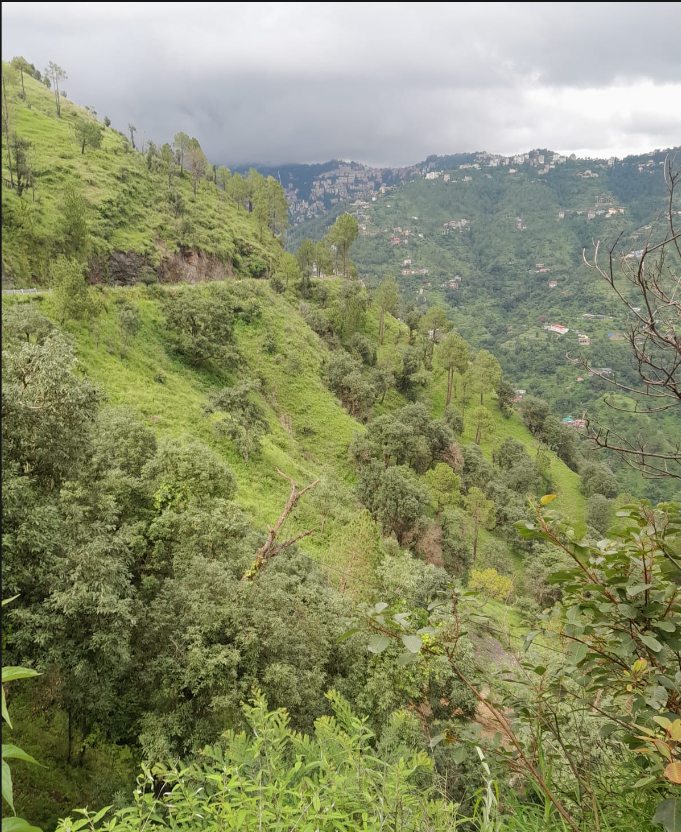 Site View — Warehouse / Godown for Sale in Shoghi Bypass