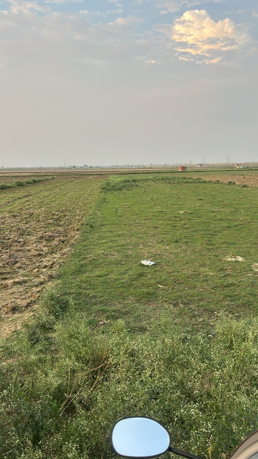 Agriculture Land for Sale in Campirganj, Uttar Pradesh