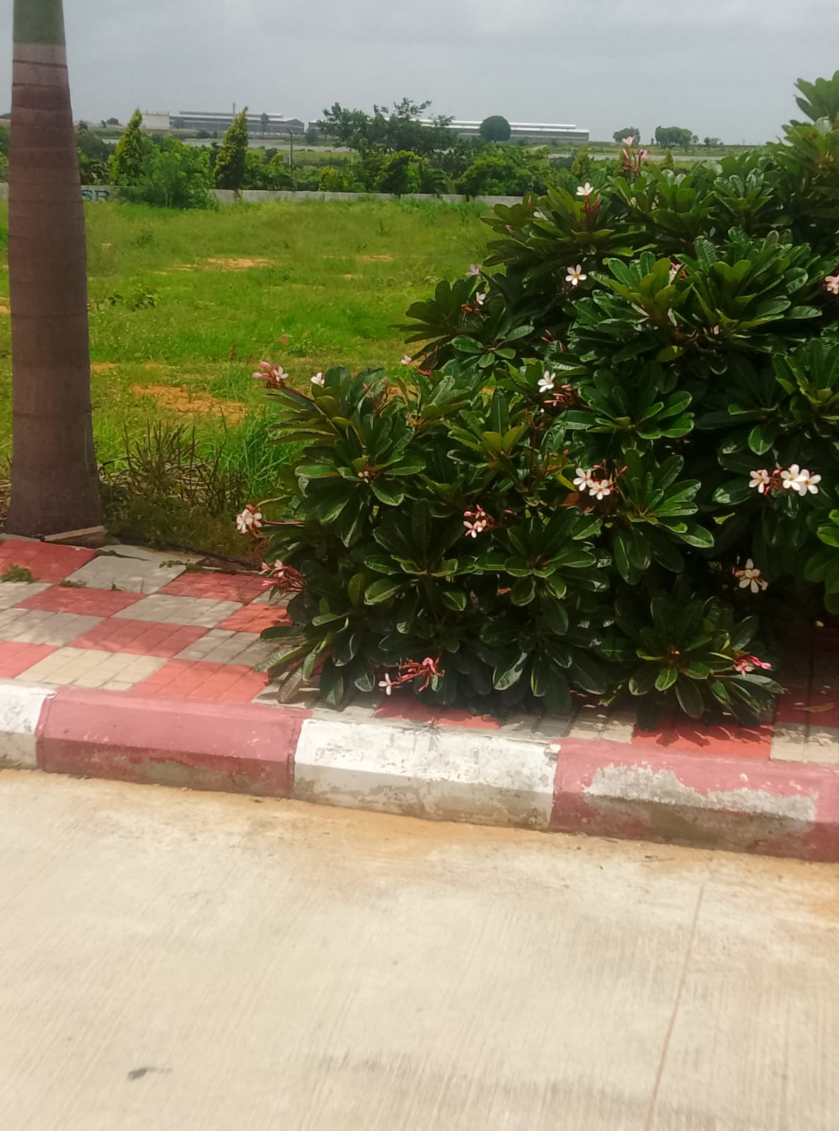 Property Image — Plot for Sale in Maheshwaram, Telangana