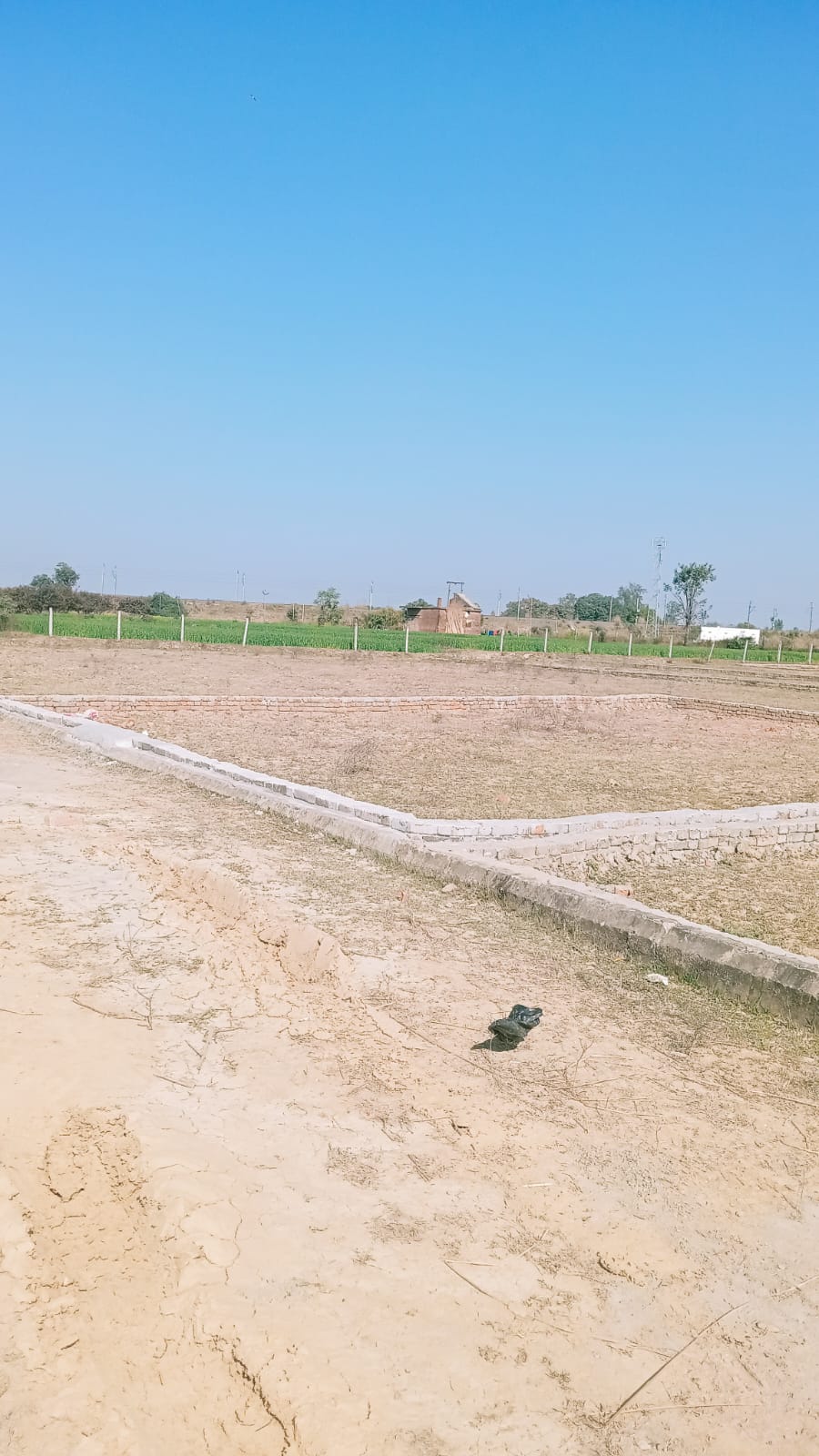 Property Image — Plot for Sale in Jhalwa, Prayagraj