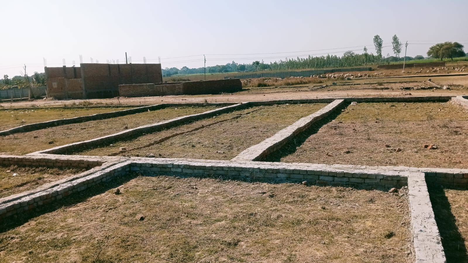 Property Image — Plot for Sale in Jhalwa, Prayagraj