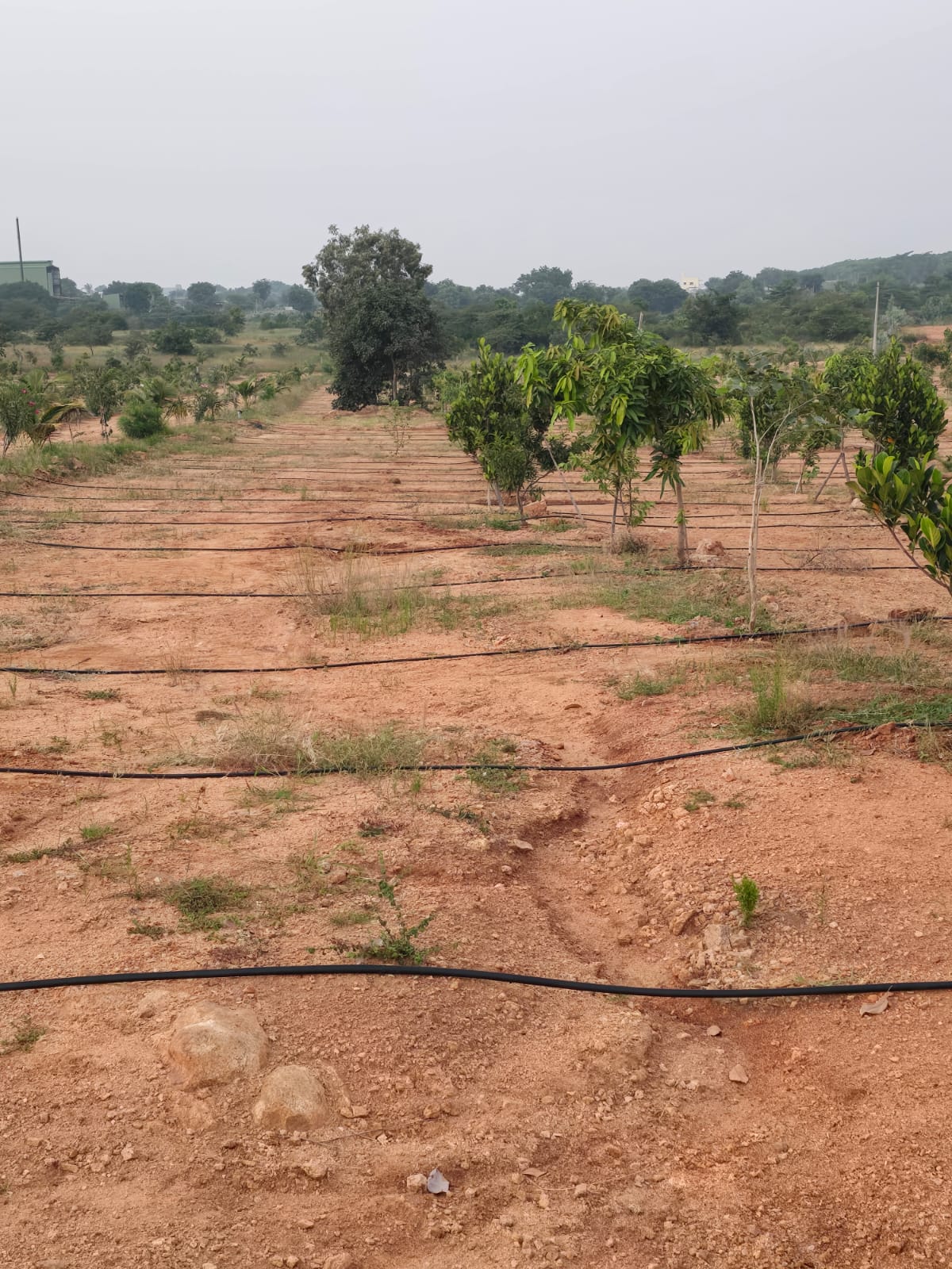 Property Image — Agriculture Land for Sale in Keesara, Secunderabad