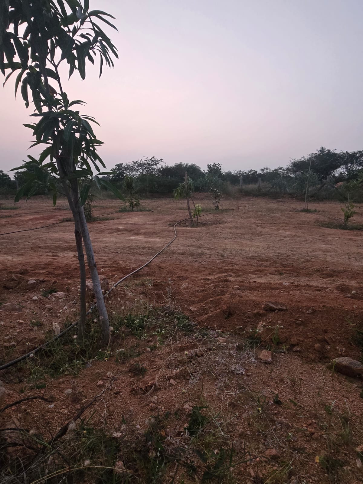 Property Image — Agriculture Land for Sale in Keesara, Secunderabad