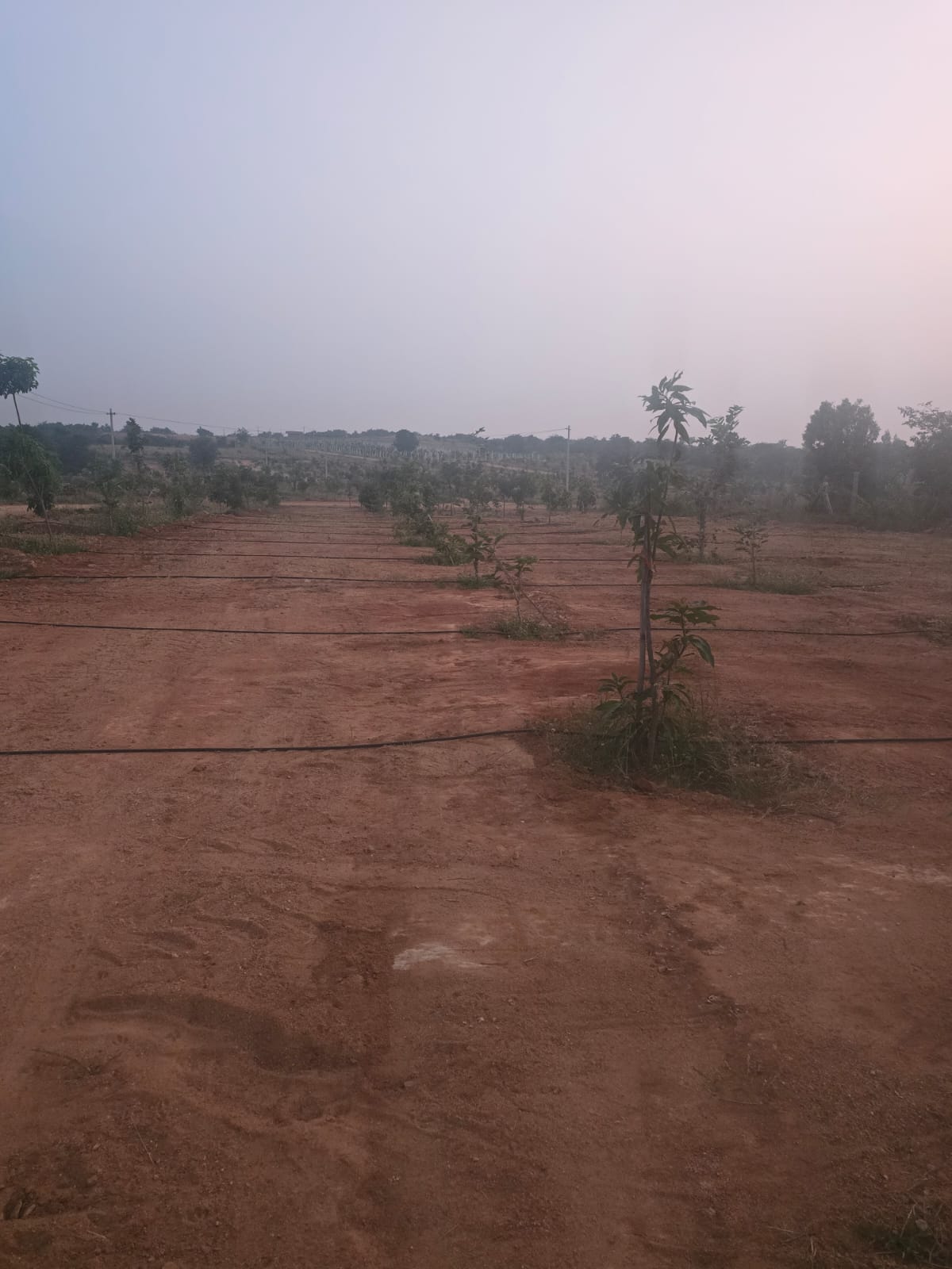 Property Image — Agriculture Land for Sale in Keesara, Secunderabad