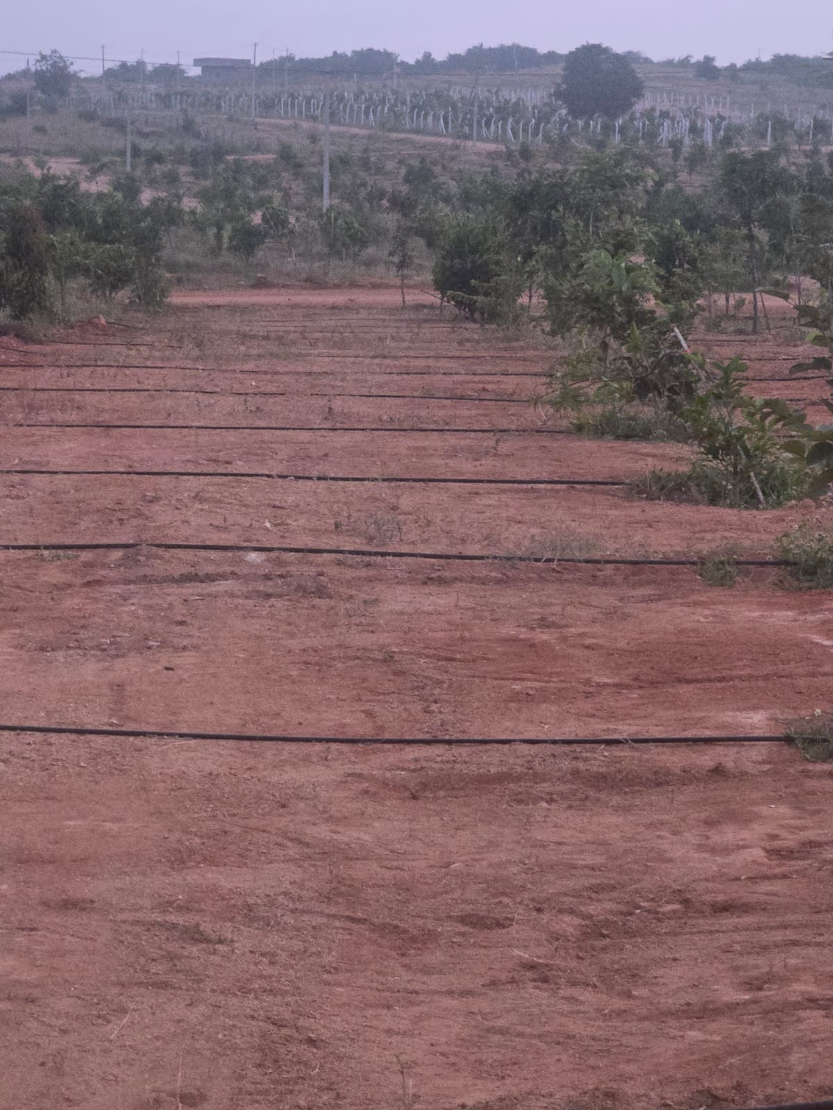 Property Image — Agriculture Land for Sale in Keesara, Secunderabad
