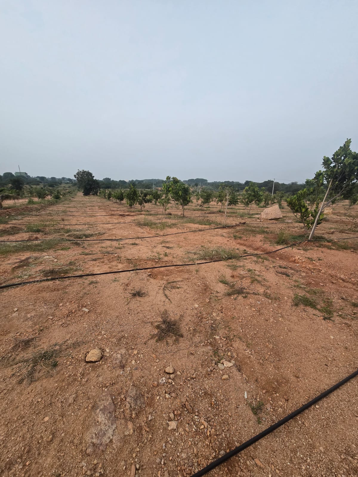 Property Image — Agriculture Land for Sale in Keesara, Secunderabad