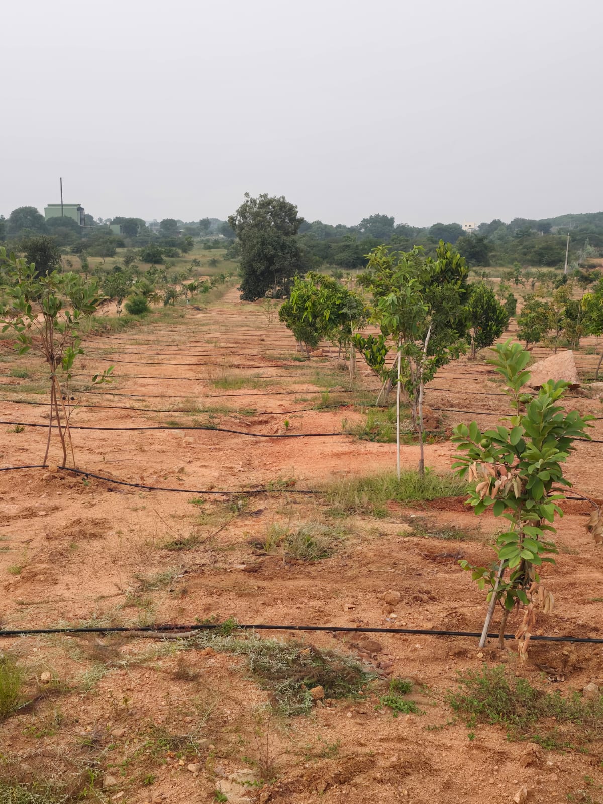 Property Image — Agriculture Land for Sale in Keesara, Secunderabad