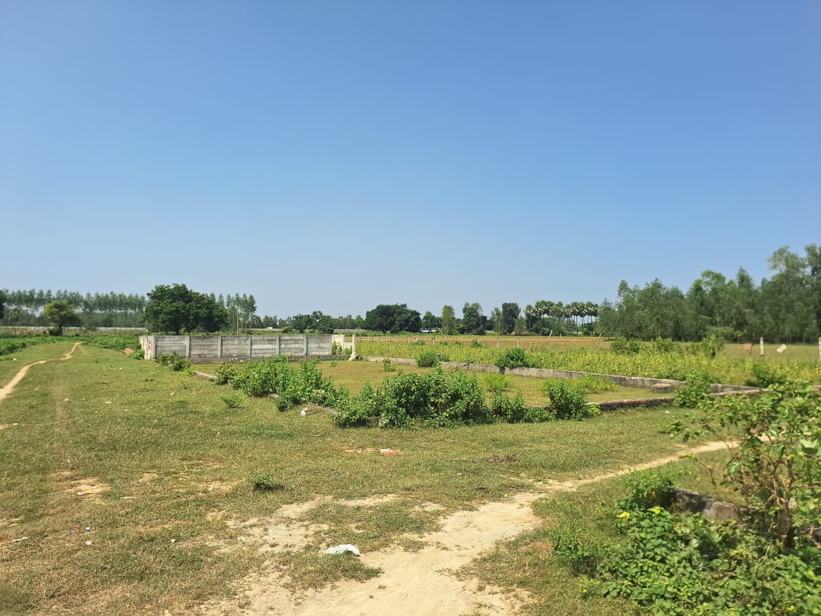 Property Image — Residential House for Sale in Banthra Sikander Pur, Uttar Pradesh