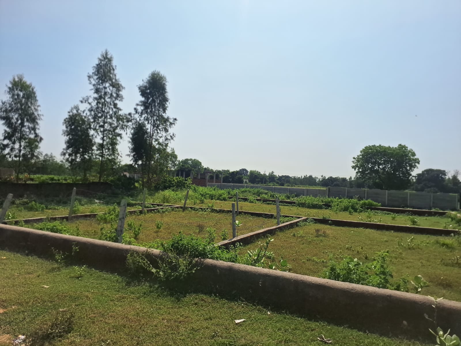 Property Image — Residential House for Sale in Banthra Sikander Pur, Uttar Pradesh