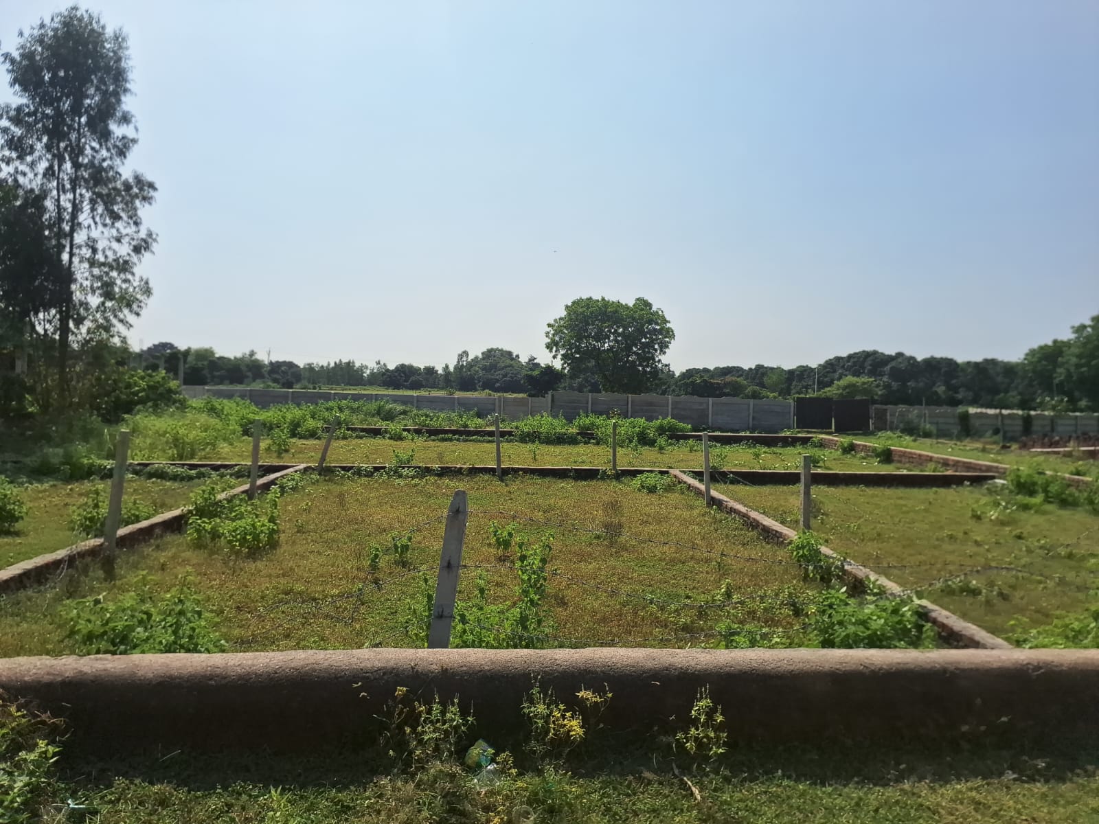 Property Image — Residential House for Sale in Banthra Sikander Pur, Uttar Pradesh