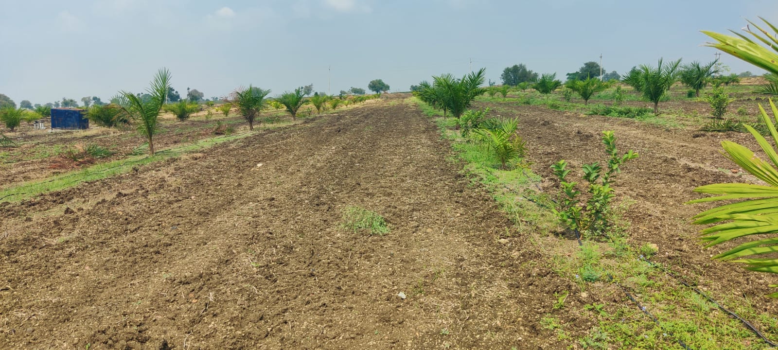 Agriculture Land for Sale in Gadag-Betageri, Karnataka