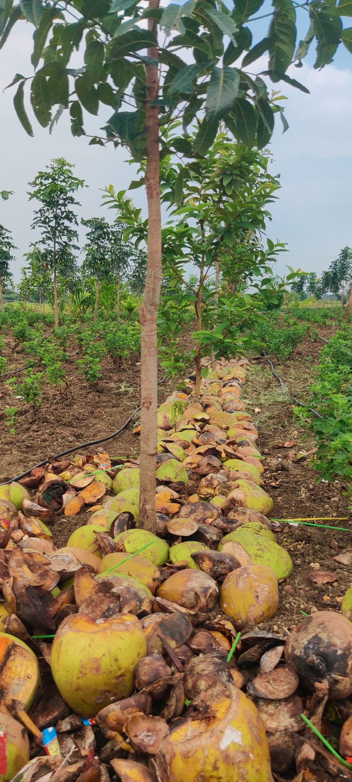 Property Image — Agriculture Land for Sale in Gadag-Betageri, Karnataka