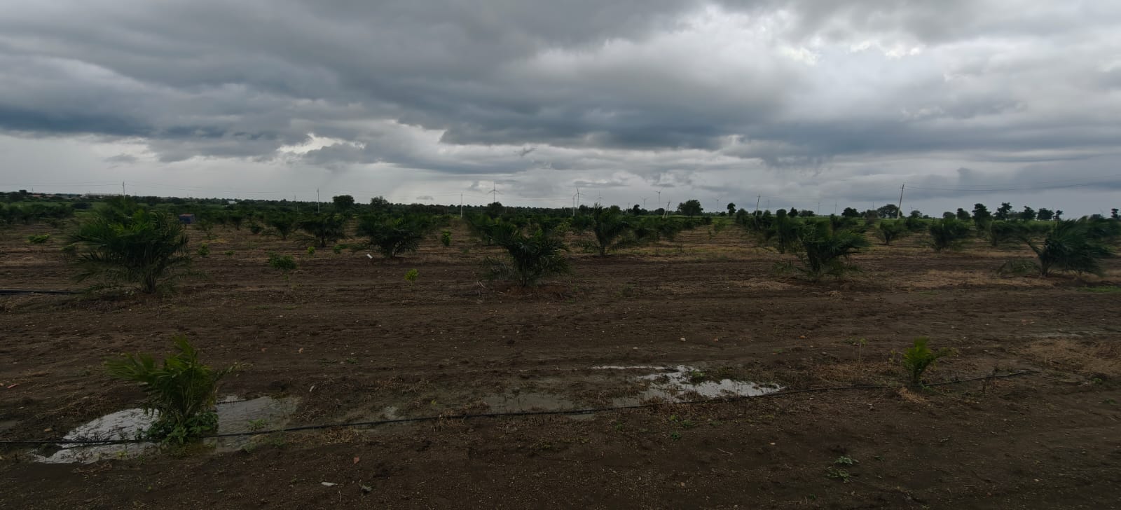 Property Image — Agriculture Land for Sale in Gadag-Betageri, Karnataka