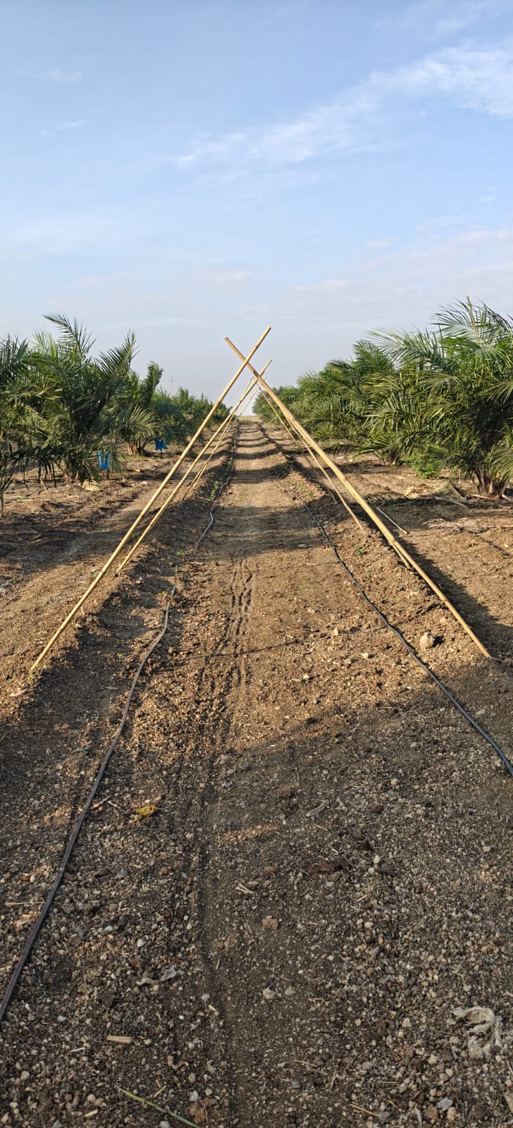 Property Image — Agriculture Land for Sale in Gadag-Betageri, Karnataka