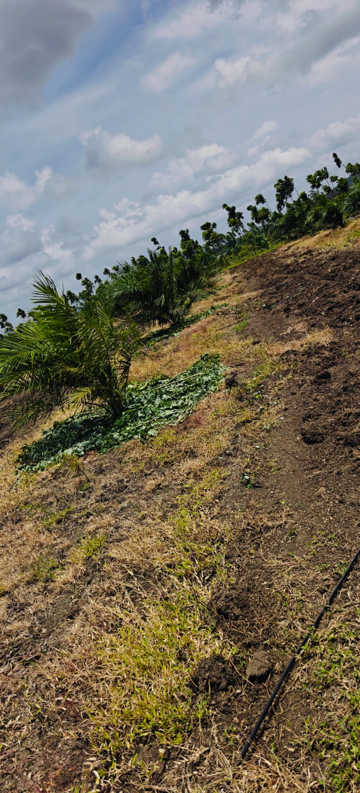 Property Image — Agriculture Land for Sale in Gadag-Betageri, Karnataka