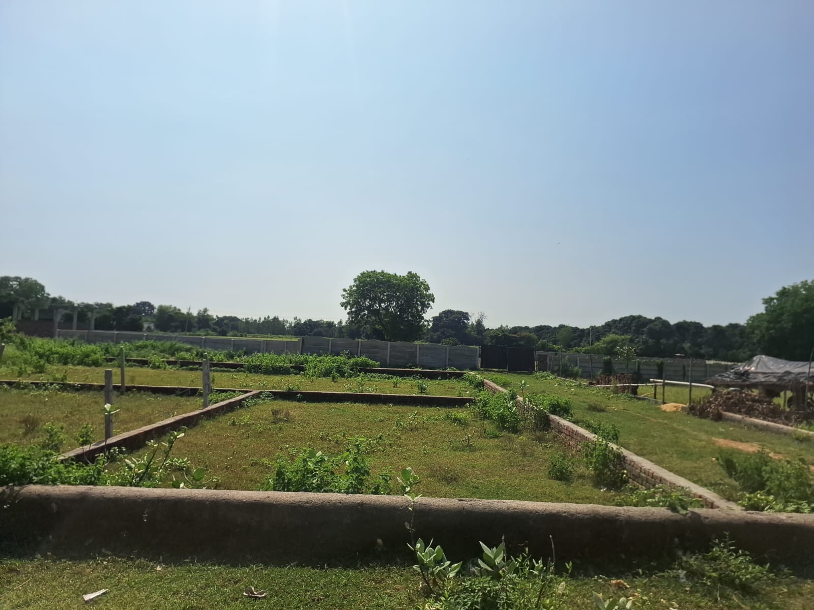 Property Image — Plot for Sale in Banthra Sikander Pur, Uttar Pradesh