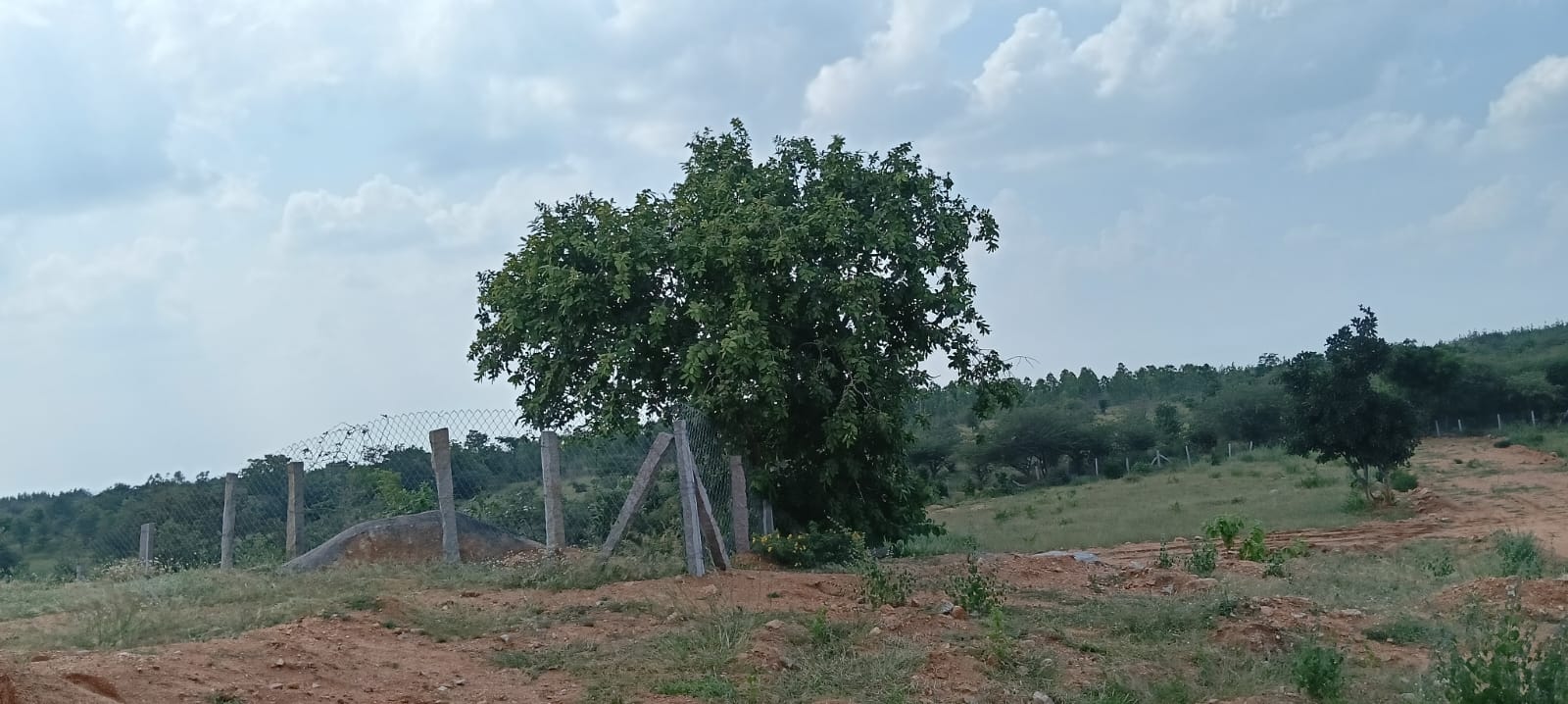 Property Image — Plot for Sale in Keesara, Secunderabad