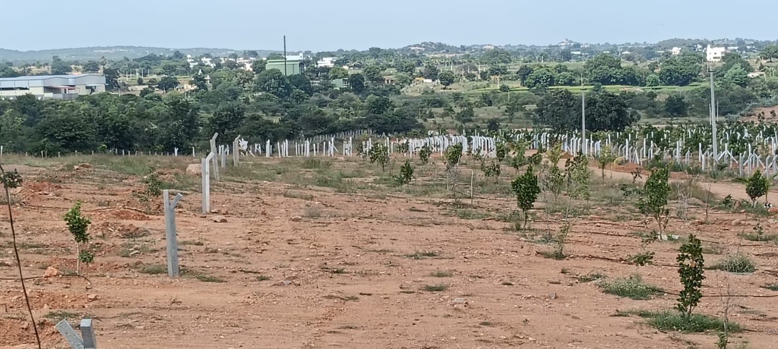 Property Image — Plot for Sale in Keesara, Secunderabad