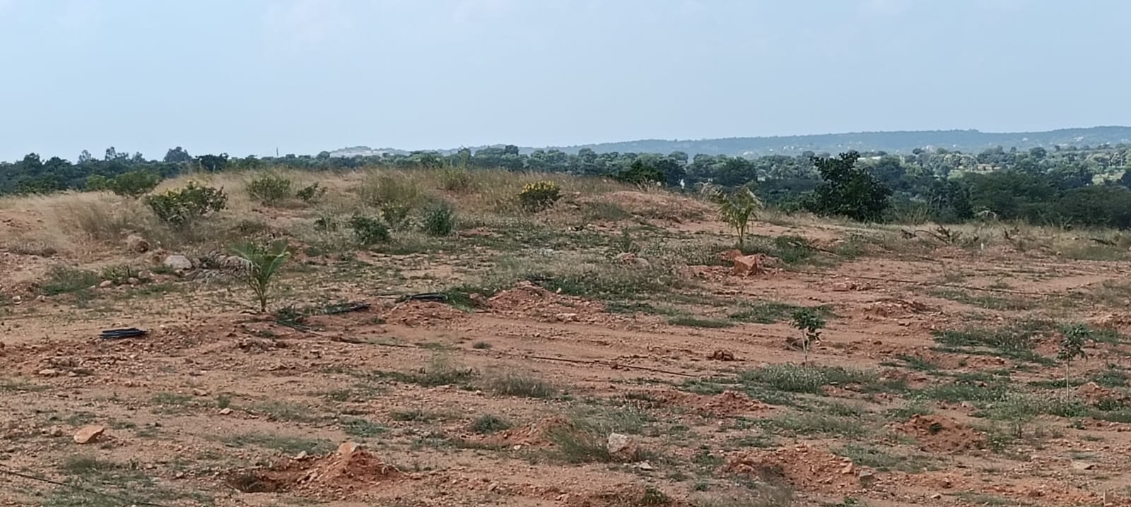 Property Image — Plot for Sale in Keesara, Secunderabad