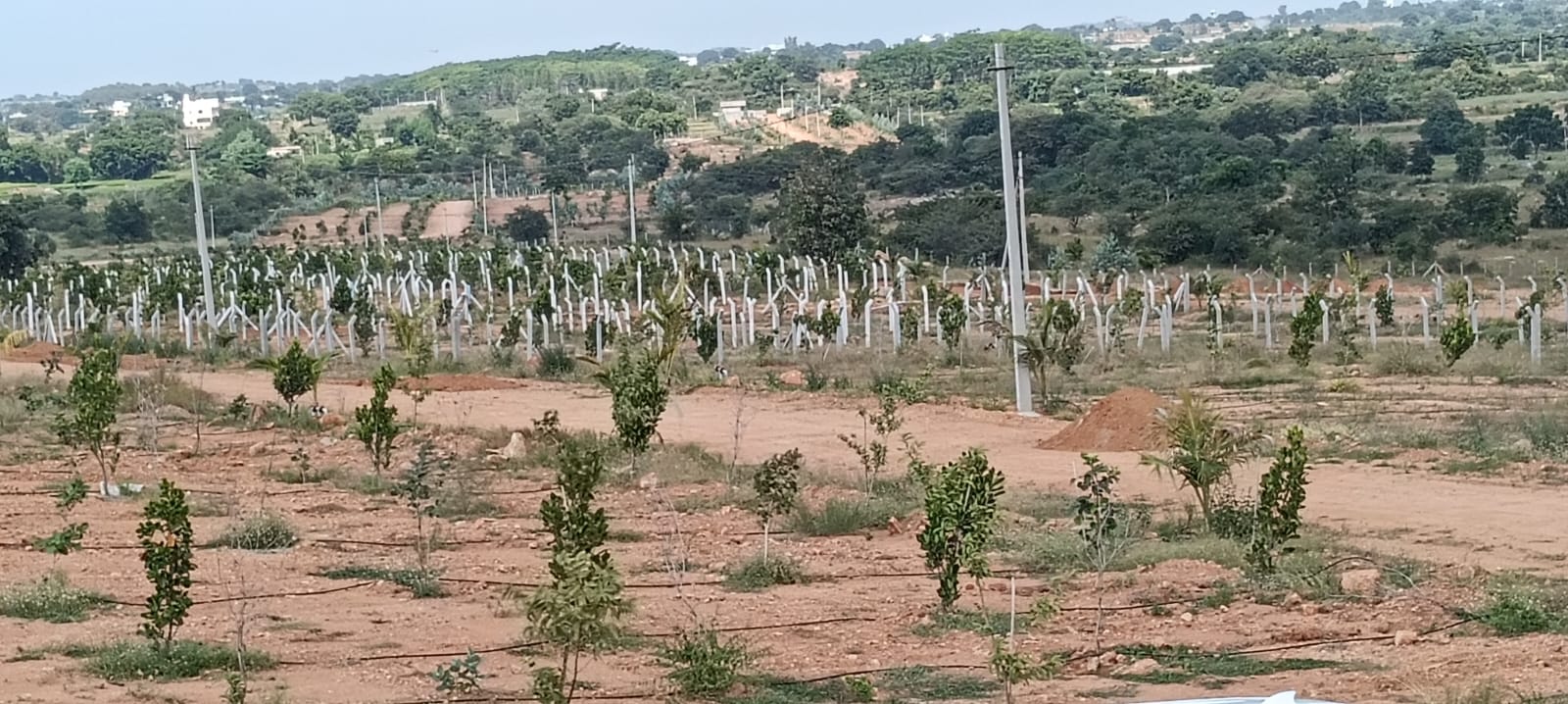 Property Image — Plot for Sale in Keesara, Secunderabad