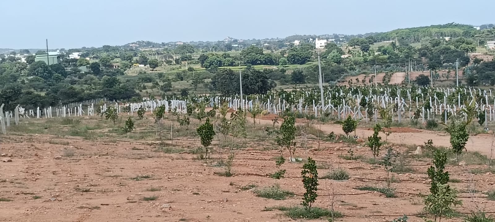 Property Image — Plot for Sale in Keesara, Secunderabad