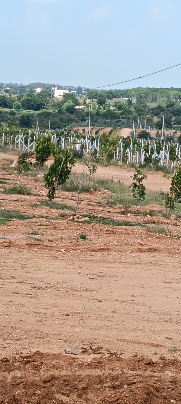 Property Image — Plot for Sale in Keesara, Secunderabad
