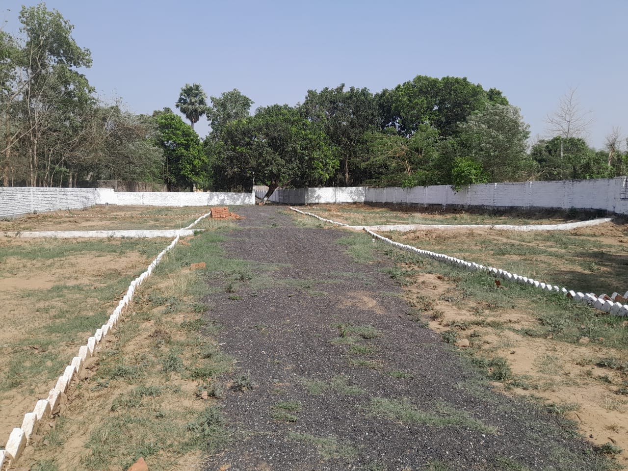 Property Image — Plot for Sale in Bihta, Bihar