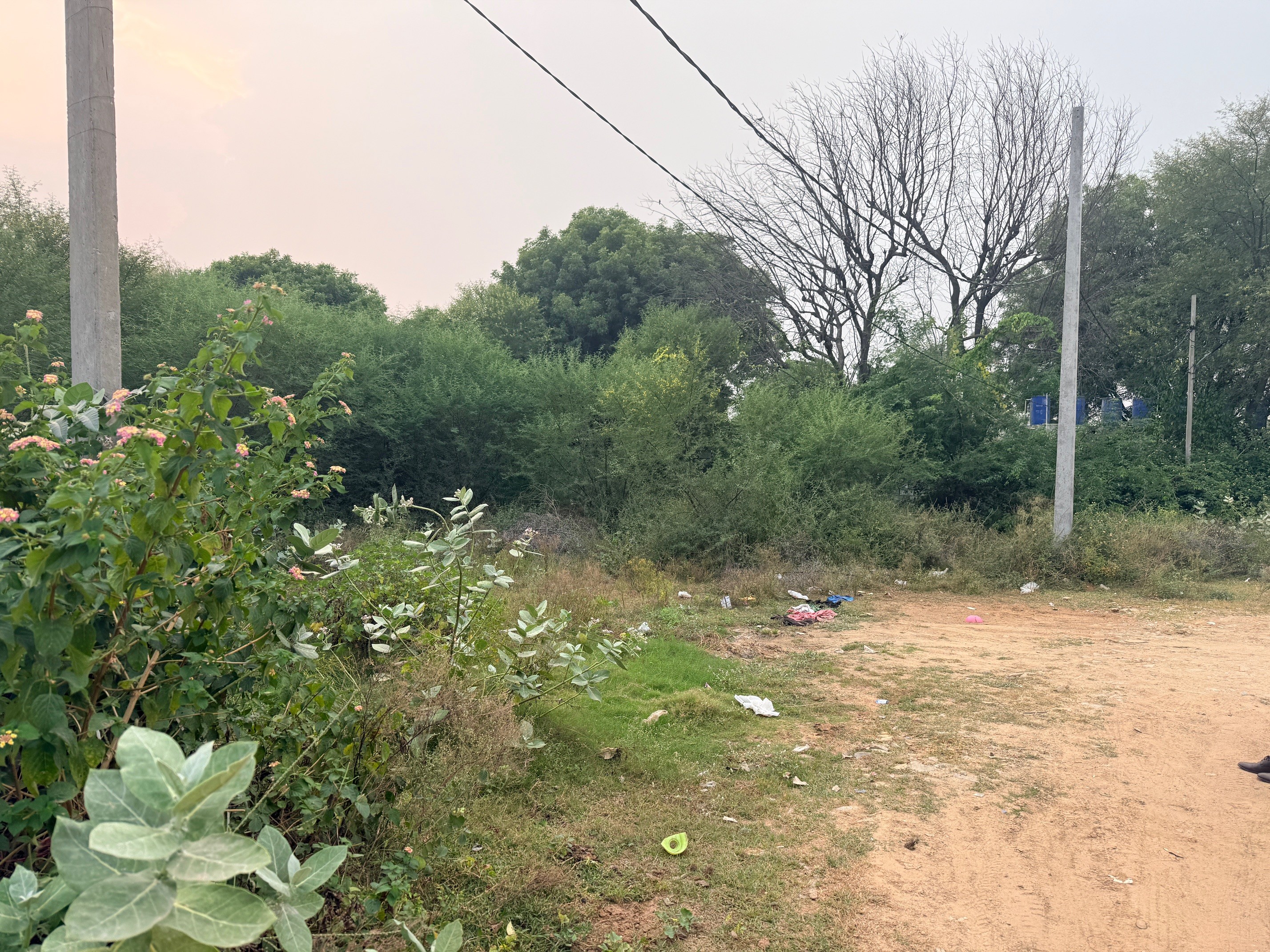 Farm House in Sanganer, Mohanpura, Rajasthan